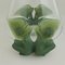 Antinea Pattern Glass Vase from Lalique 22