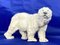 Art Nouveau Polar Bear from Meissen, Imagen 1