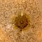 Italian Gold Brown Murano Glass Ceiling Lamp by Barovier & Toso 8