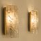 Glass and Brass Wall Sconce by Doria, 1960, Image 9