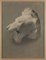Unknown, Drawings of Lion's Head, Pencil on Paper, 19th-Century, Set of 3, Immagine 2