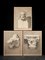 Unknown, Drawings of Lion's Head, Pencil on Paper, 19th-Century, Set of 3 1