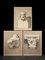 Unknown, Drawings of Lion's Head, Pencil on Paper, 19th-Century, Set of 3, Image 1