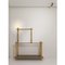 Shelf and Floor Lamp by Koen Van Guijze, Image 4
