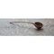 Medium Pisara Spoon by Antrei Hartikainen, Image 3