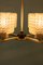 Mid-Century Chandelier with Glass Shades 19