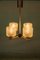 Mid-Century Chandelier with Glass Shades 12