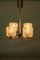 Mid-Century Chandelier with Glass Shades, Immagine 12