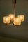 Mid-Century Chandelier with Glass Shades, Image 16
