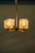 Mid-Century Chandelier with Glass Shades, Immagine 8