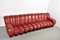 DS600 Snake Sofa in Burgundy Red Leather by Ueli Berger for De Sede, 1980s 2