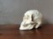 Plaster Vanity Skull, Image 5