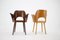 Beech Dining Chairs by Oswald Haerdtl, Czechoslovakia, 1960s, Set of 2 3