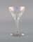 White Wine Glasses in Clear Crystal Glass from Val St. Lambert, Belgium, Set of 12 3