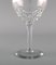 Red Wine Glasses in Clear Crystal Glass from Val St. Lambert, Belgium, Set of 9 5