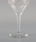 White Wine Glasses in Clear Crystal Glass from Val St. Lambert, Belgium, Set of 15 5