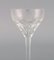 White Wine Glasses in Clear Crystal Glass from Val St. Lambert, Belgium, Set of 15, Immagine 4