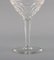 Red Wine Glasses in Clear Crystal Glass from Val St. Lambert, Belgium, Set of 10 6
