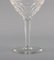 Red Wine Glasses in Clear Crystal Glass from Val St. Lambert, Belgium, Set of 10, Imagen 6