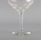 Champagne Bowls in Clear Crystal Glass from Val St. Lambert, Belgium, Set of 12 6