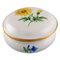 Porcelain Lidded Jar with Hand-Painted Flowers and Gold Edge from Meissen, Image 1