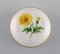 Porcelain Lidded Jar with Hand-Painted Flowers and Gold Edge from Meissen, Immagine 2