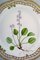 Flora Danica Plate in Openwork Porcelain with Flowers from Royal Copenhagen, Immagine 2