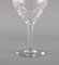 Red Wine Glasses in Clear Crystal Glass from Val St. Lambert, Belgium, Set of 20 5