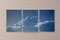 Triptych of Serene Cloudy Sky, Handmade Cyanotype, Print on Paper, 2021 2