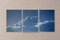 Triptych of Serene Cloudy Sky, Handmade Cyanotype, Print on Paper, 2021, Image 2