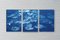 Lilypad Pond Triptych, Large Cyanotype on Watercolor Paper, 2021 6