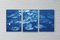 Lilypad Pond Triptych, Large Cyanotype on Watercolor Paper, 2021, Immagine 6