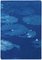 Lilypad Pond Triptych, Large Cyanotype on Watercolor Paper, 2021, Immagine 5