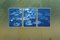 Lilypad Pond Triptych, Large Cyanotype on Watercolor Paper, 2021, Immagine 7