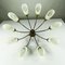 Vintage Spider Sputnik 10-Light Ceiling Light in Brass & Glass, 1950s 14