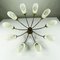 Vintage Spider Sputnik Deckenlampe aus Messing & Glas mit 10 Leuchten, 1950er 14