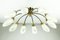 Vintage Spider Sputnik 10-Light Ceiling Light in Brass & Glass, 1950s 13