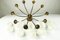 Plafonnier Spider Sputnik Vintage à 10 Lampes en Laiton et Verre, 1950s 15