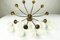 Vintage Spider Sputnik 10-Light Ceiling Light in Brass & Glass, 1950s 15