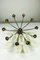 Vintage Spider Sputnik 10-Light Ceiling Light in Brass & Glass, 1950s 17