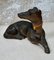 Antique Terracotta Greyhound Sculpture 6