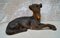 Antique Terracotta Greyhound Sculpture 7