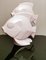Escultura francesa Art Déco de dos peces en porcelana craquelada, Imagen 1