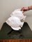 Escultura francesa Art Déco de dos peces en porcelana craquelada, Imagen 15