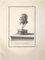 Francesco Cepparoli, Profil de Buste Romain Antique, Gravure à l'Eau-Forte, Fin du 18ème Siècle 1