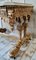 Tavolo vittoriano in legno di quercia sbiancato, Immagine 3