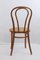 Bent Beech A18 / 14 Chair from Thonet / Italcomma-Pesaro, 1850s 5