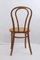 Gebogener A18 / 14 Stuhl aus Buche von Thonet / Italcomma-Pesaro, 1850er 5