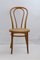 Bent Beech A18 / 14 Chair from Thonet / Italcomma-Pesaro, 1850s 1