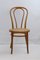 Bent Beech A18 / 14 Chair from Thonet / Italcomma-Pesaro, 1850s, Image 1